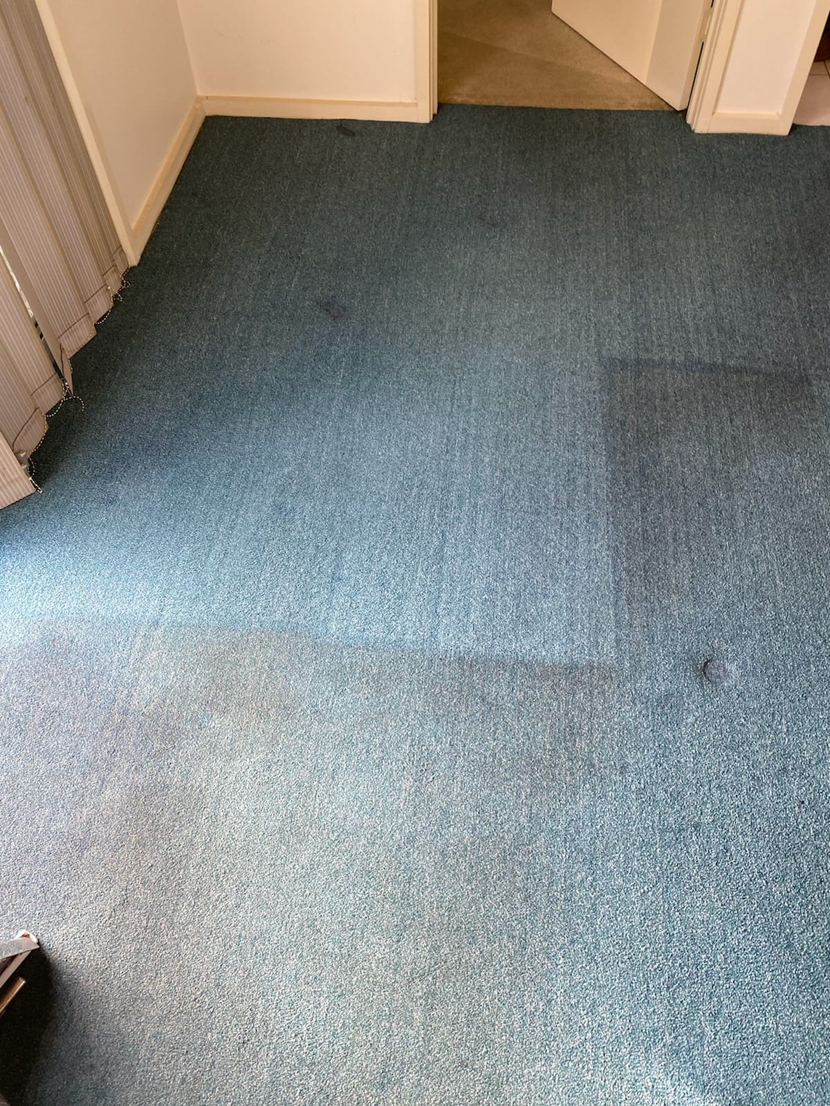 carpet cleaning (9)